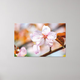 Sakura-Blume und Orangefarbene Blätter im Frühjahr Leinwanddruck