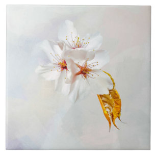 Sakura - Blüte der japanischen Kirsche Fliese