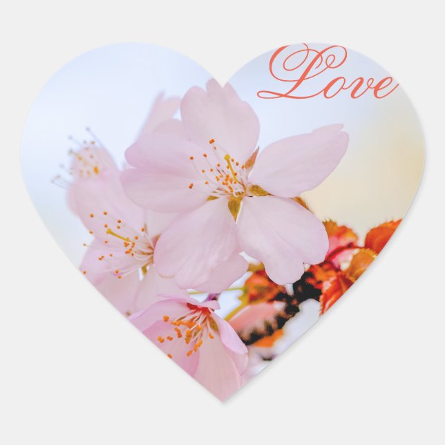 Sakura - Blüte der japanischen Kirsche Herz-Aufkleber (Vorderseite)