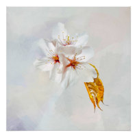 Sakura - Blüte der japanischen Kirsche