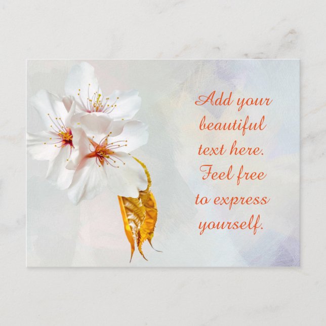 Sakura - Blüte der japanischen Kirsche Postkarte (Vorderseite)