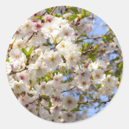 Sakura Cherry Blossom Japan Kyoto Runder Aufkleber
