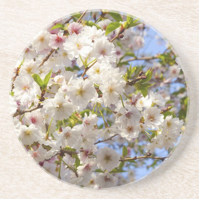 Sakura Cherry Blossom Japan Kyoto Sandstein Untersetzer (Vorne)