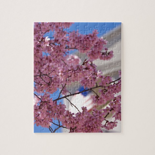 Sakura Cherry Blossoms Americana (Vertikal)