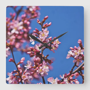 Sakura Cherry Blossoms Touching Blue Quadratische Wanduhr