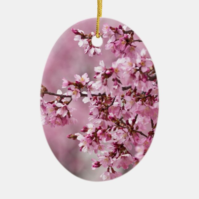 Sakura Cherry blüht pastellrosa Schichten Keramikornament (Vorne)