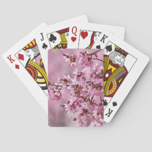Sakura Cherry blüht pastellrosa Schichten Spielkarten