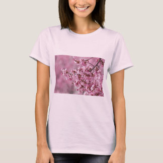 Sakura Cherry blüht pastellrosa Schichten T-Shirt