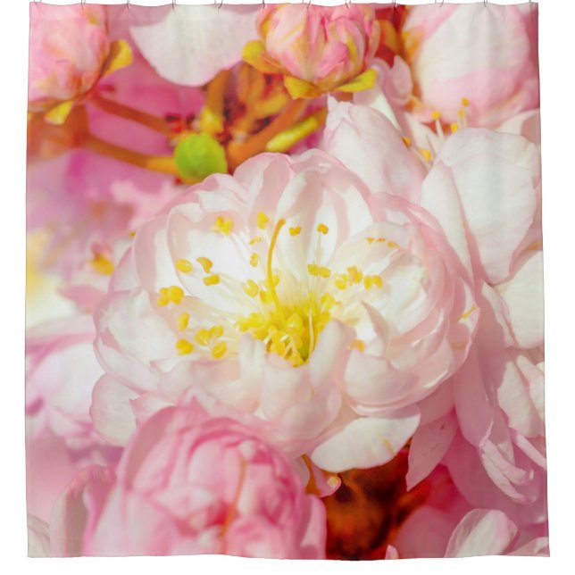 Sakura Cherry Blume - Hochzeit der Natur Duschvorhang (Vorderseite)