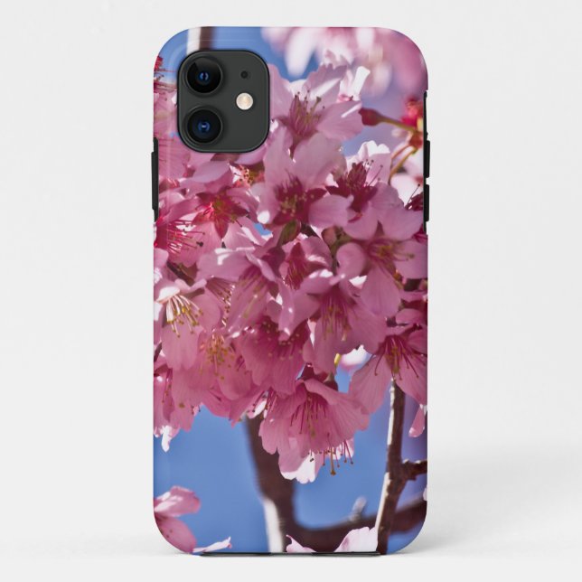 Sakura Cherry Blüten Rote Stars Case-Mate iPhone Hülle (Rückseite)
