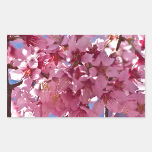 Sakura Cherry Blüten Rote Stars Rechteckiger Aufkleber