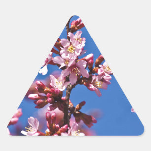 Sakura Cherry Blüten Touch Blue Dreieckiger Aufkleber