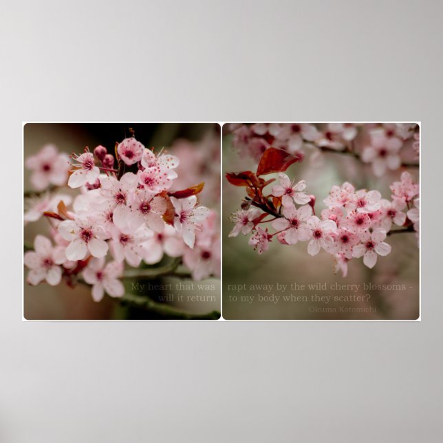 Sakura Diptych Poster (Vorne)