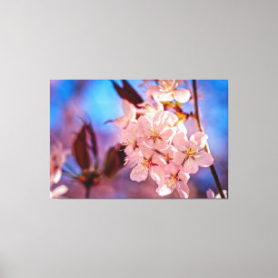 Sakura im Baumschatten Leinwanddruck
