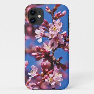 Sakura Japanese Cheroms Blue Sky iPhone 11 Hülle