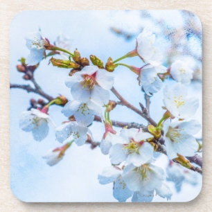 Sakura - Japanische Kirschblüte Getränkeuntersetzer