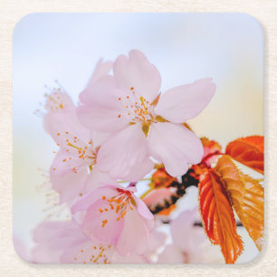 Sakura - Japanische Kirschblüte Rechteckiger Pappuntersetzer
