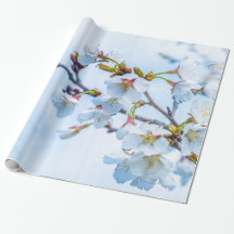 Sakura - Japanischer Kirschblossom