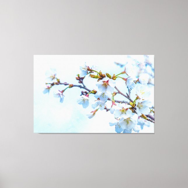 Sakura - Japanischer Kirschblossom Leinwanddruck (Vorderseite)