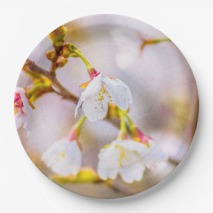 Sakura - Japanischer Kirschblossom Pappteller