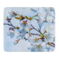 Sakura - Japanischer Kirschblossom
