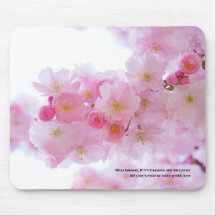 Sakura Kirschblüte Japanischer Übersetzer Rosa