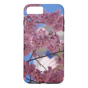 Sakura Kirschblüten Americana title_seo2