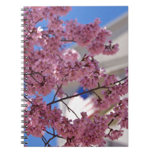 Sakura Kirschblüten Americana Notizblock