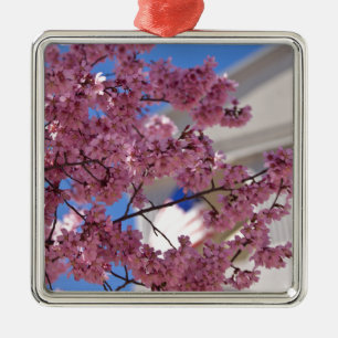 Sakura Kirschblüten Americana Silbernes Ornament