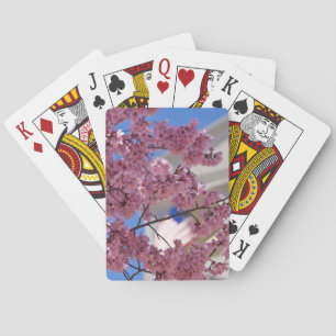 Sakura Kirschblüten Americana Spielkarten