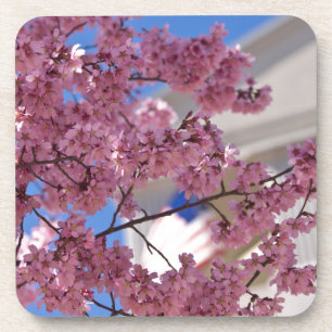 Sakura Kirschblüten Americana Untersetzer