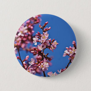Sakura Kirschblüten berühren Blau Button