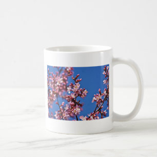 Sakura Kirschblüten berühren Blau Kaffeetasse
