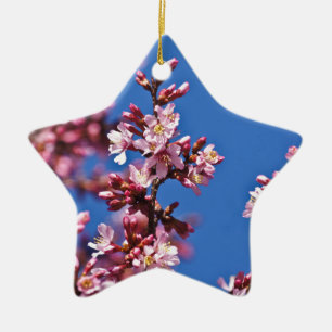 Sakura Kirschblüten berühren Blau Keramikornament