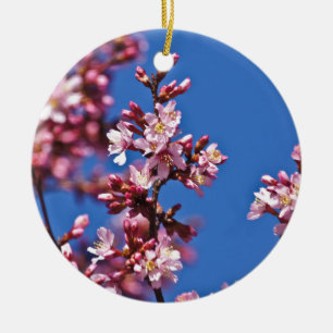 Sakura Kirschblüten berühren Blau Keramikornament