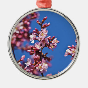Sakura Kirschblüten berühren Blau Silbernes Ornament
