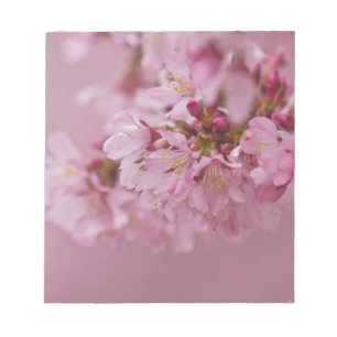 Sakura Kirschblüten Blasse rosa Reflexionen Notizblock
