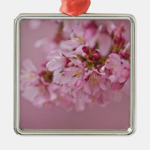 Sakura Kirschblüten Blasse rosa Reflexionen Ornament Aus Metall