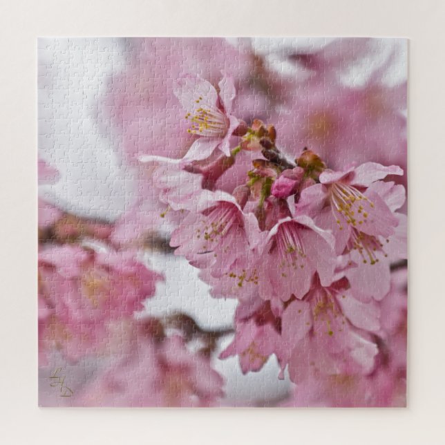 Sakura Kirschblüten Blassrosa (Vertikal)