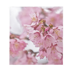 Sakura Kirschblüten Blassrosa Notizblock