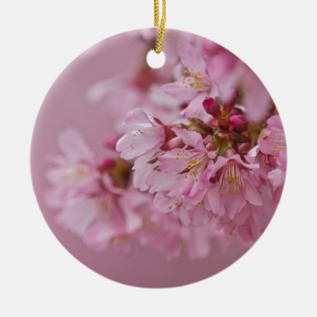 Sakura Kirschblüten Blassrosa Reflektionen Keramikornament (Vorne)