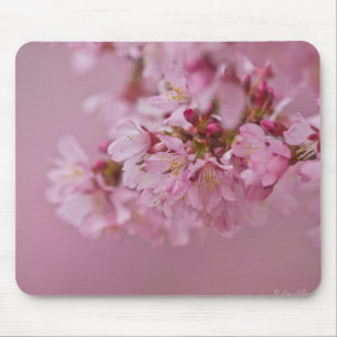 Sakura Kirschblüten Blassrosa Reflektionen Mousepad