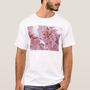 Sakura Kirschblüten Blassrosa T-Shirt
