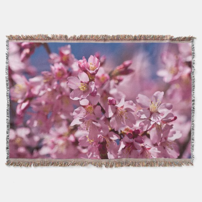 Sakura Kirschblüten, die von Sonnenlicht geküsst w Decke (Vorderseite)