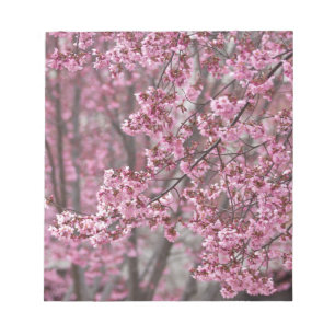 Sakura Kirschblüten Fließendes Rosa Notizblock