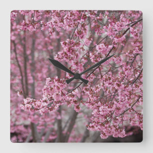 Sakura Kirschblüten Fließendes Rosa Quadratische Wanduhr