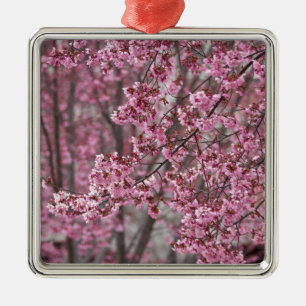 Sakura Kirschblüten Fließendes Rosa Silbernes Ornament