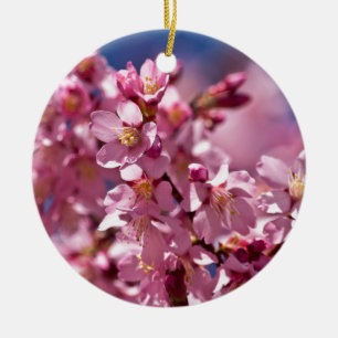 Sakura-Kirschblüten geküsst von Sonnenlicht Keramikornament