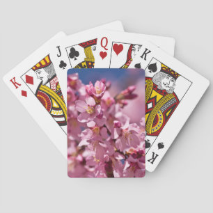 Sakura-Kirschblüten geküsst von Sonnenlicht Spielkarten