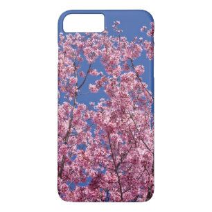 Sakura Kirschblüten im Blauen Case-Mate iPhone Hülle